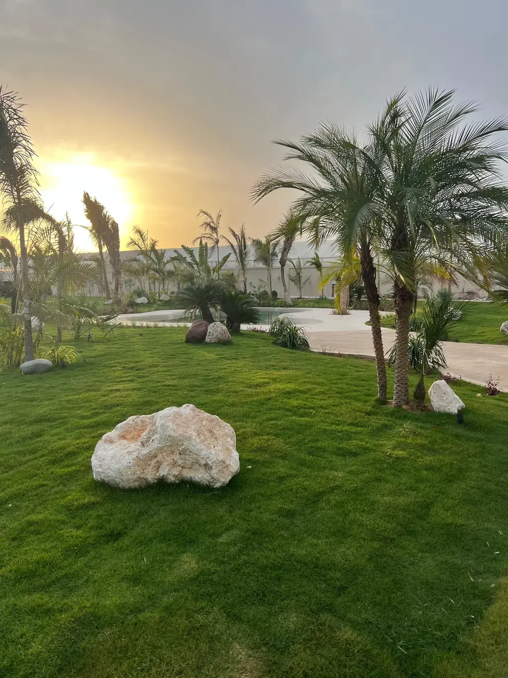Golden-hour garden with palms, lawn and natural stone