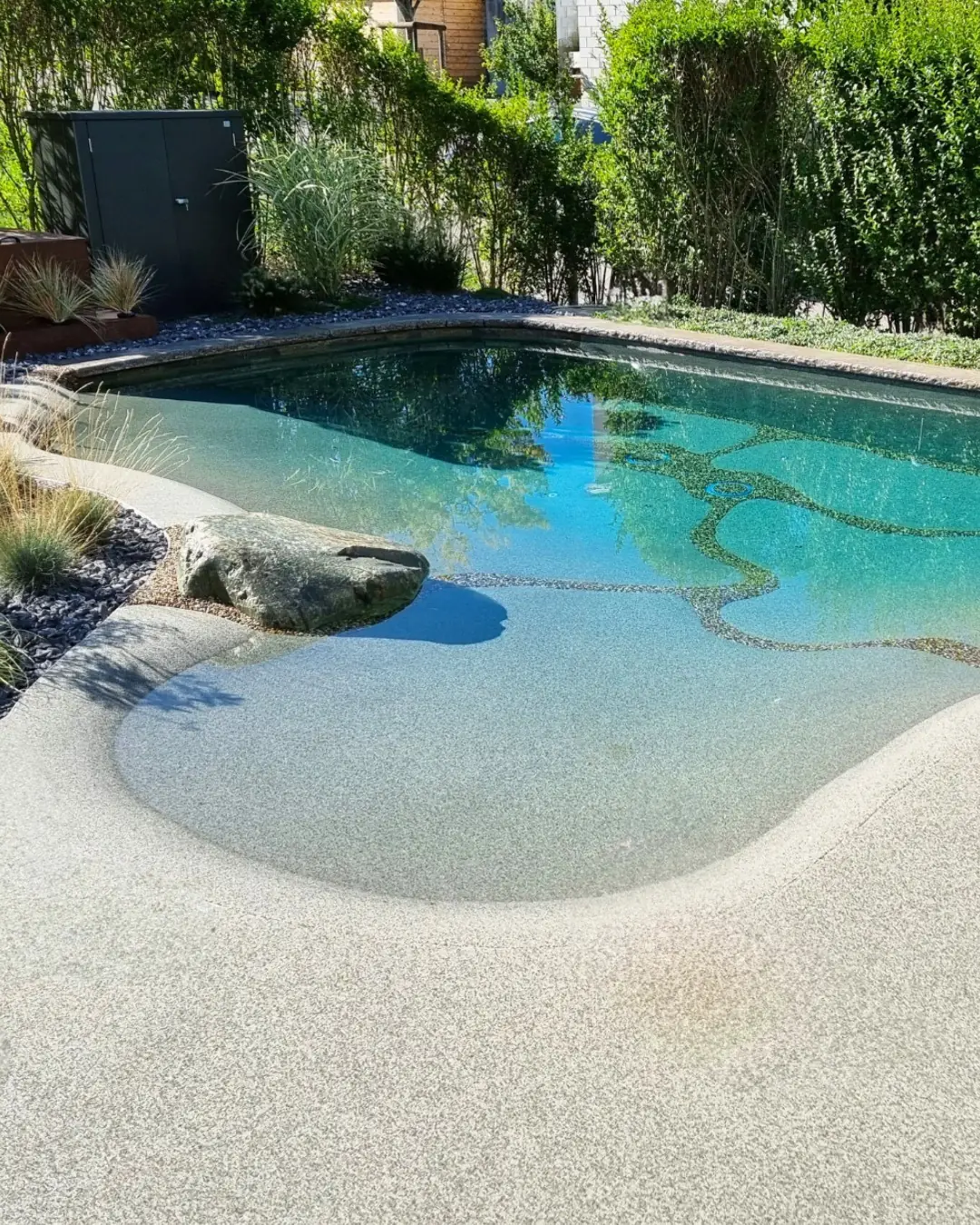 What Is a Natural Beach Pool? A Complete Guide