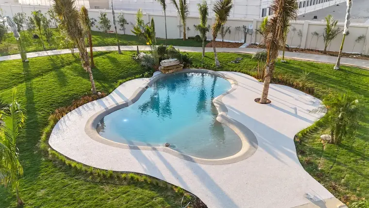 Curved pool deck lined with palms