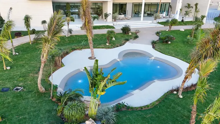 White freeform pool on a manicured lawn
